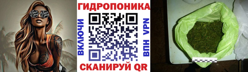 darknet наркотические препараты  Абаза  Бошки Шишки ГИДРОПОН  купить наркоту 